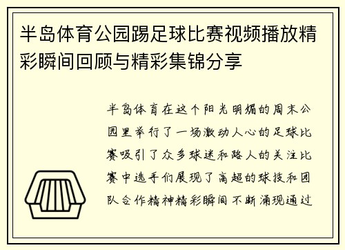 半岛体育公园踢足球比赛视频播放精彩瞬间回顾与精彩集锦分享