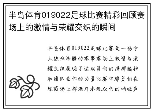 半岛体育019022足球比赛精彩回顾赛场上的激情与荣耀交织的瞬间