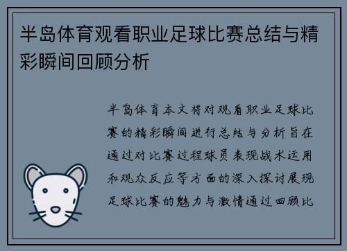 半岛体育观看职业足球比赛总结与精彩瞬间回顾分析