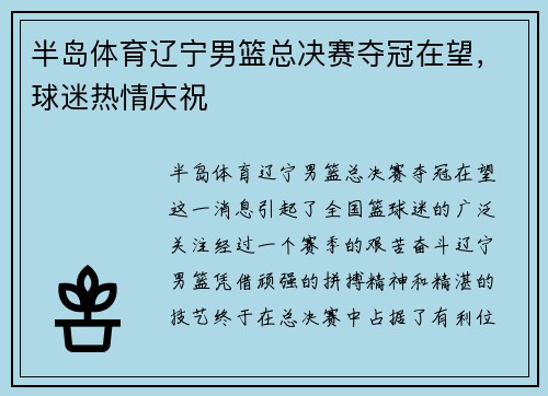 半岛体育辽宁男篮总决赛夺冠在望，球迷热情庆祝